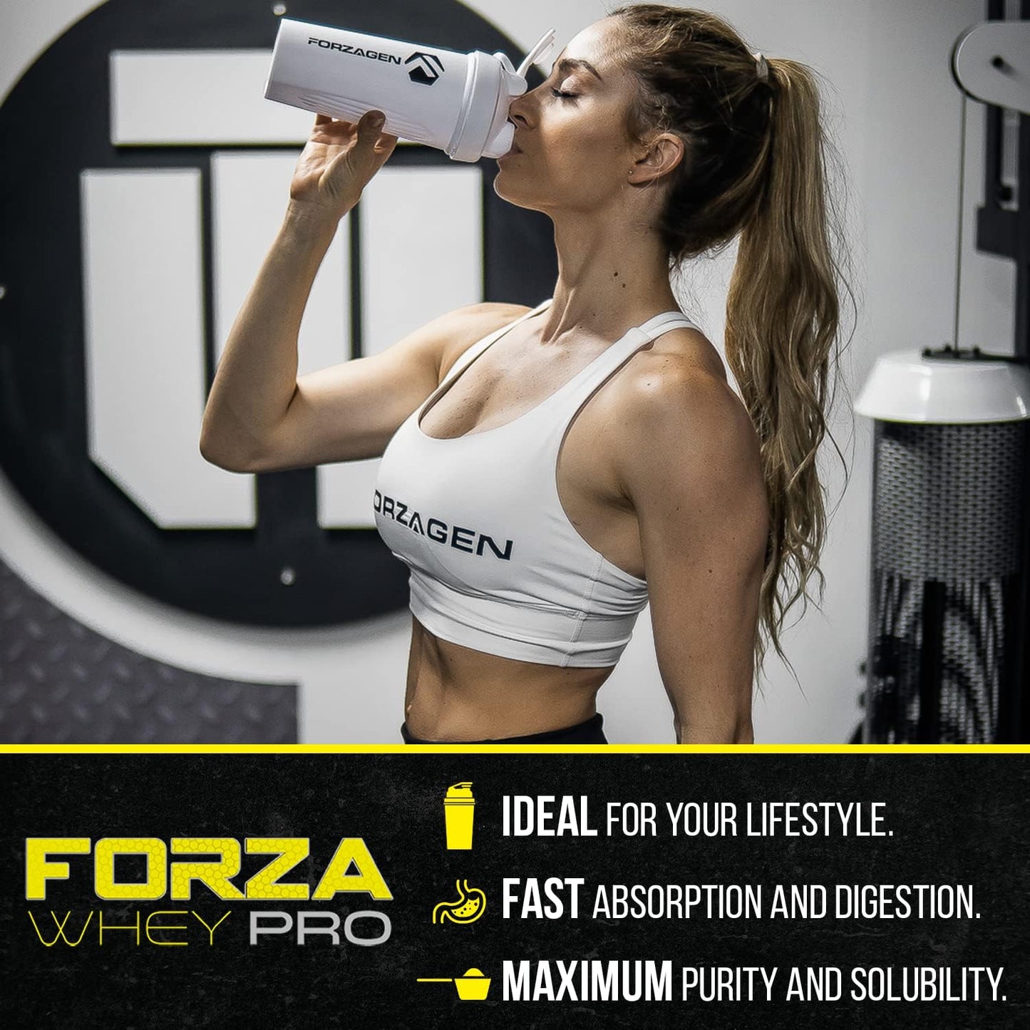 Forzagen Low Carb Whey Protein Powder Chocolate Flavored, Lean Protein Powder 5lbs for Men & Women, 24G of Protein, No Sugar Added, Proteina Whey Protein Chocolate 5 Pounds