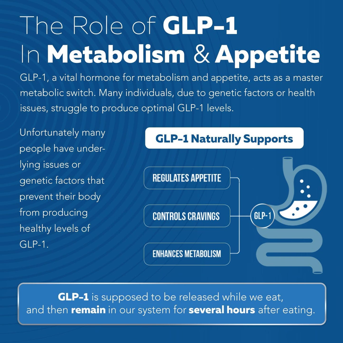 GLP-Activate | Appetite & Metabolism Support - Formulated to Support GLP1 Naturally - Expert Formulated - Take 1 Capsule Before Each Meal for Appetite & Metabolic Support - 90 Servings